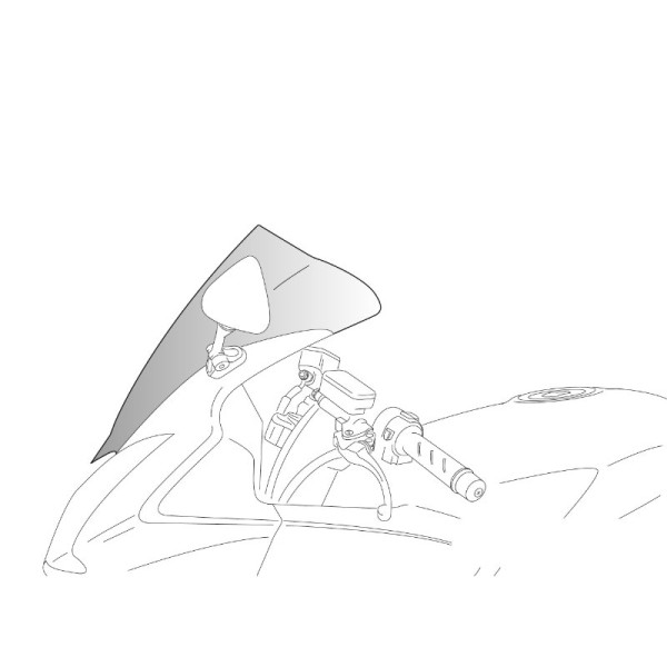 Puig Racing Screen Clear